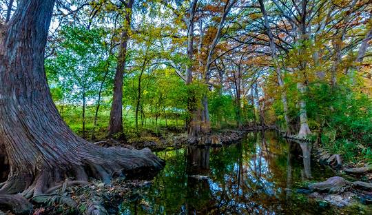 HVAC Contractor - Cibolo, TX